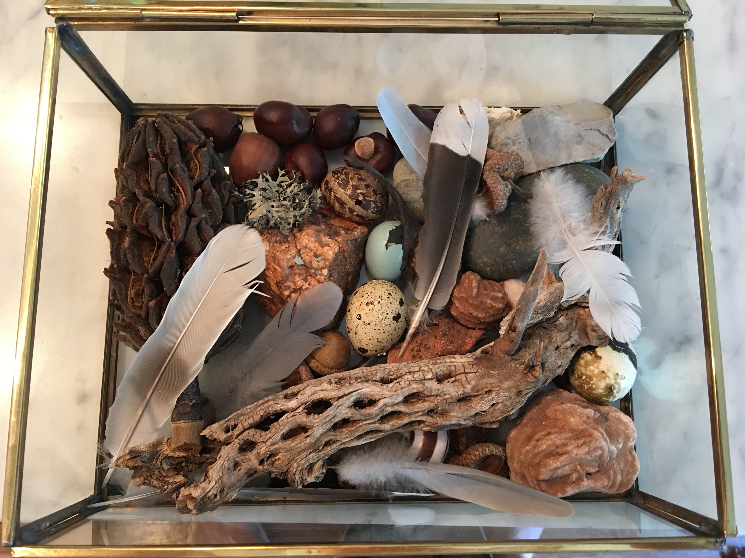 To See Things As They Are: Curiosity, Privilege, & Connection